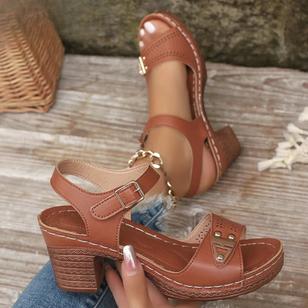 Brown / 12