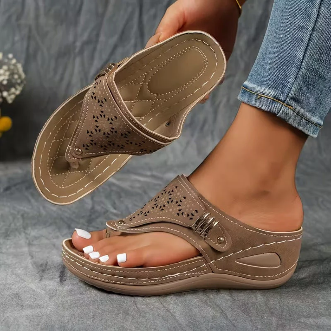 Brown / 12