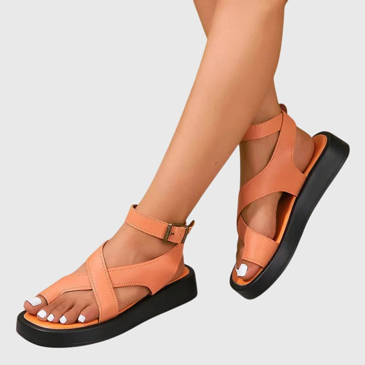 Orange / 13 US | 43 EU